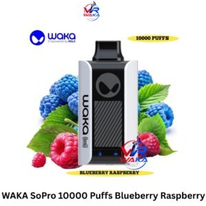 WAKA SoPro 10000 Puffs Blueberry Raspberry